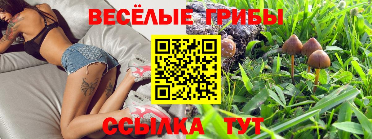 Галлюциногенные грибы мухоморы  Вход с VPN  цены наркотик  Зеленогорск 